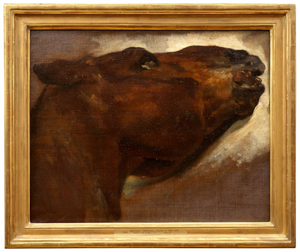Study of a Dead Horse (Théodore Géricault) - Nationalmuseum - 22494