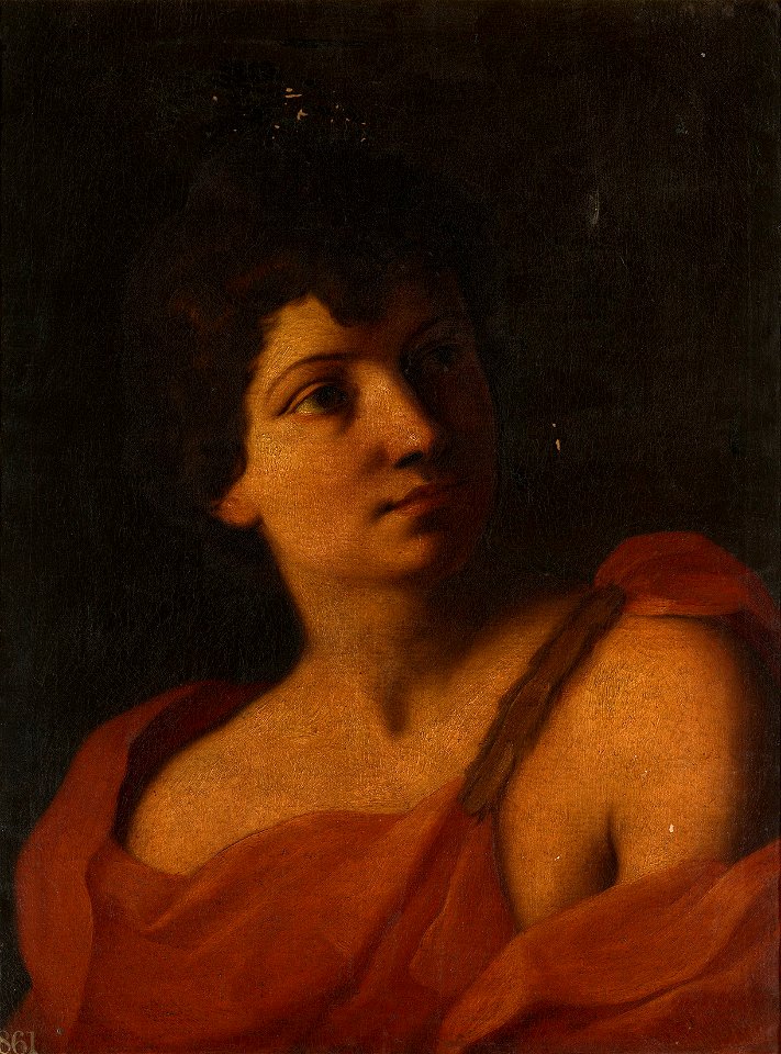 Style of Carlo Cignani (Bologna 1628- Forlì 1719) - Head of a Youth - RCIN 406131 - Royal Collection