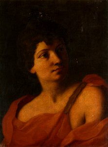 Style of Carlo Cignani (Bologna 1628- Forlì 1719) - Head of a Youth - RCIN 406131 - Royal Collection