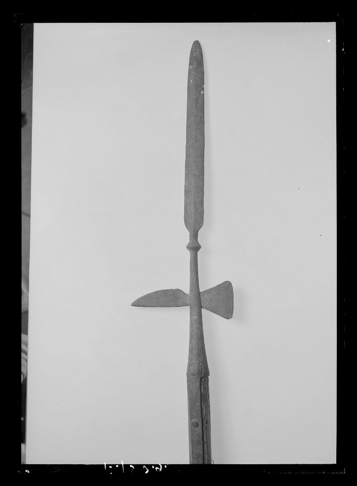 Stångvapen - Livrustkammaren - 9719