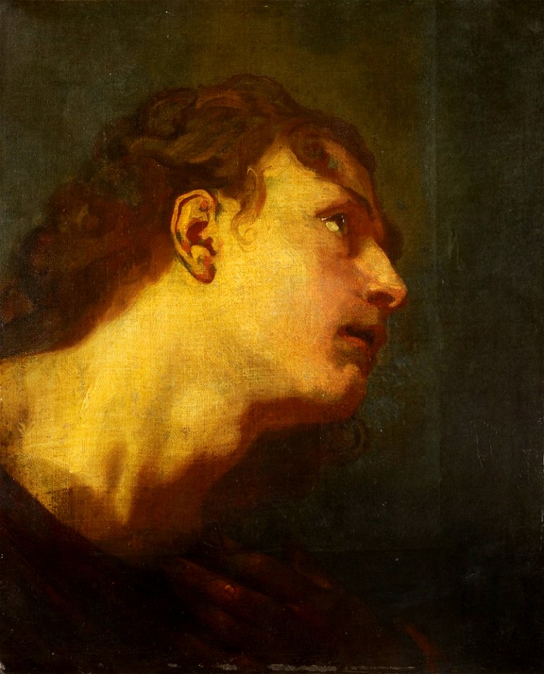 Style of Anthony van Dyck - Head of a Young Man c.1638-50, RCIN 400038