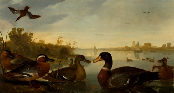 Style of Aelbert Cuyp (Dordrecht 1620-Dordrecht 1691) - Ducks on the River Maas near Dordrecht - RCIN 405203 - Royal Collection