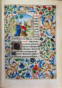 Stundenbuch der Maria von Burgund Wien cod. 1857 Maria Heimsuchung