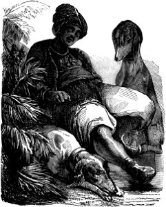 Sue - Atar-Gull et autres récits, 1850 (page 236 crop)