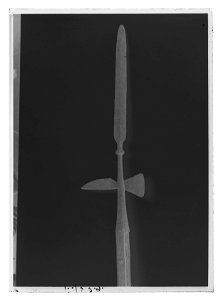 Stångvapen - Livrustkammaren - 9719-negative