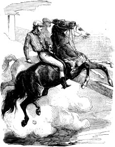 Sue - Atar-Gull et autres récits, 1850 (page 177 crop 2)