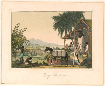 Sugar plantation LCCN2003688078