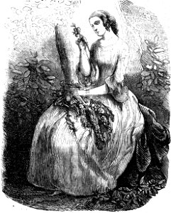 Sue - Atar-Gull et autres récits, 1850 (page 337 crop 2)
