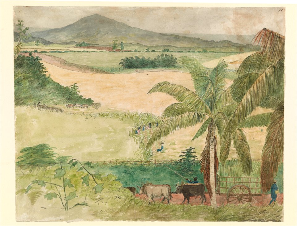 Sugar estate - Negros cutting cane LCCN96516495