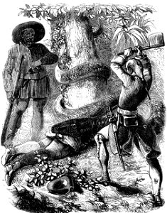 Sue - Atar-Gull et autres récits, 1850 (page 336 crop)