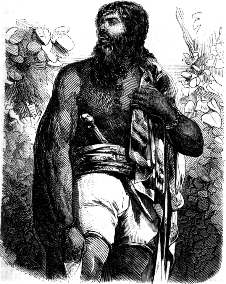 Sue - Atar-Gull et autres récits, 1850 (page 361 crop)
