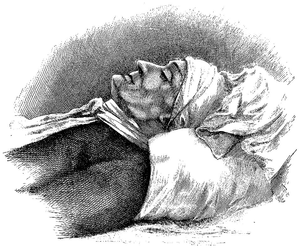 Sulte - Histoires des Canadiens-français, 1608-1880, tome II, 1882 (page 4 crop)