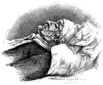 Sulte - Histoires des Canadiens-français, 1608-1880, tome II, 1882 (page 4 crop)