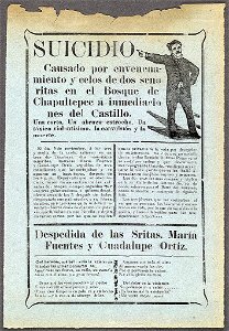 Suicidio causado por envenenamiento y celos de dos señoritas en el bosque de Chapultepec á inmediacio nes del castillo LCCN99615891