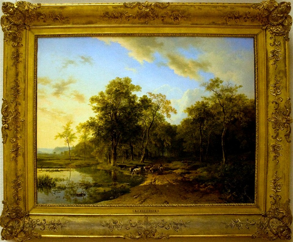 Summer landscape