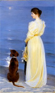 Summer evening at Skagen - P.S. Krøyer - Google Cultural Institute. Free illustration for personal and commercial use.