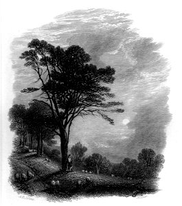 Sunrise engraving by William Miller after A B Johns