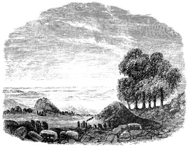 SUMMER VIEW NEAR BARNAOOL