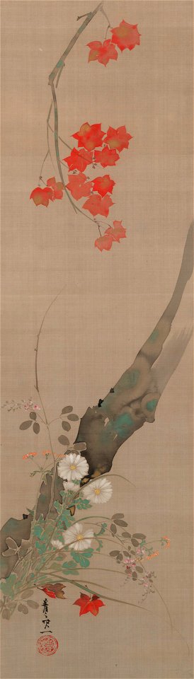 Suzuki Kiitsu - Maple and Flower - 1952.40.14 - Yale University Art Gallery