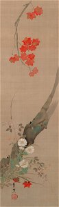 Suzuki Kiitsu - Maple and Flower - 1952.40.14 - Yale University Art Gallery