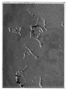 Svart hatt av filt - Livrustkammaren - 18796-negative