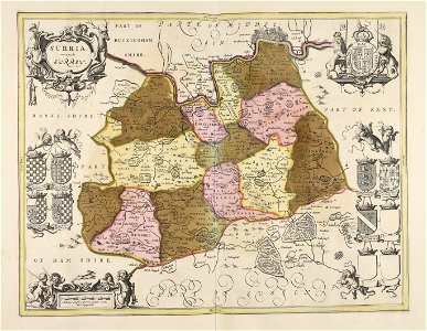 Surria vernacule Surrey - CBT 6604926