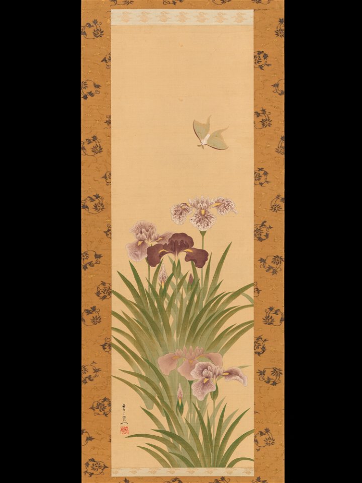 Suzuki Kiitsu - Irises and Moth - 2015.300.95 - Metropolitan Museum of Art