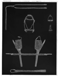 Svanskappa - Livrustkammaren - 77146-negative