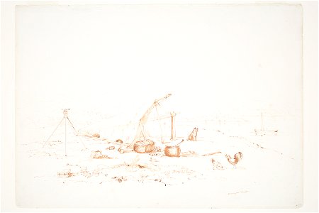 Surveyor's Camp
