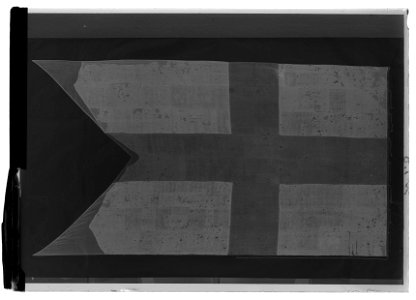 Svensk tvåtungad flagga - Livrustkammaren - 69750-negative