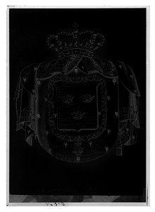Svenskt riksvapen prins Gustav av Vasa - Livrustkammaren - 1239-negative