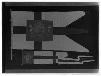 Svensk kunglig flagga - Livrustkammaren - 25868-negative