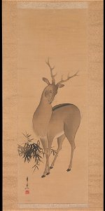 Suzuki Kiitsu - Deer - 59.137.1 - Metropolitan Museum of Art