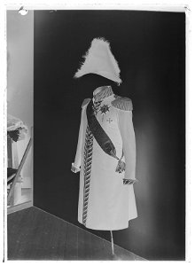 Svensk fältmarskalksrock för parad, har tillhört Karl XIV Johan - Livrustkammaren - 60284-negative