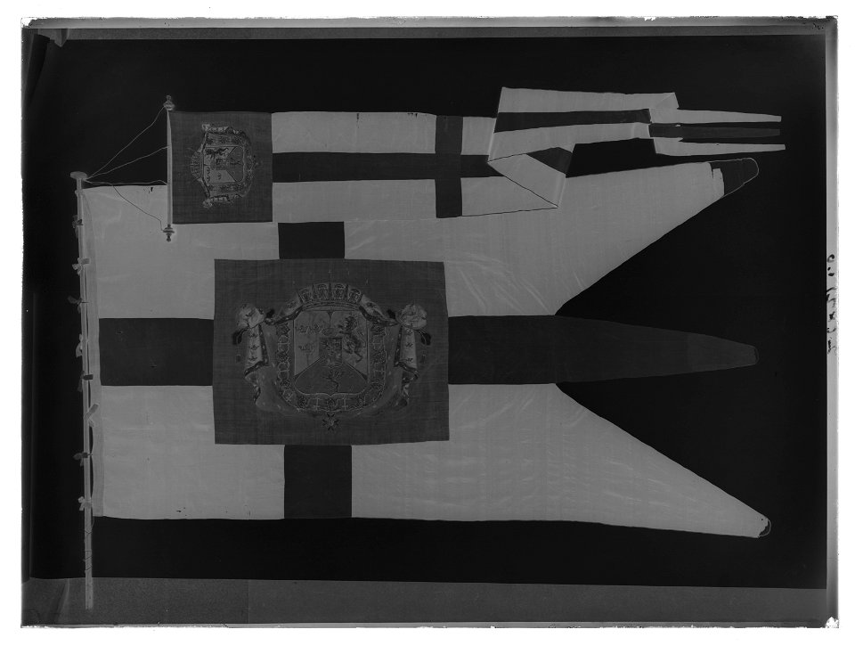 Svensk kunglig flagga - Livrustkammaren - 230-negative