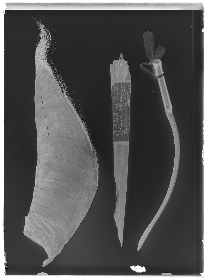 Svärdfisksvärd - Livrustkammaren - 9395-negative