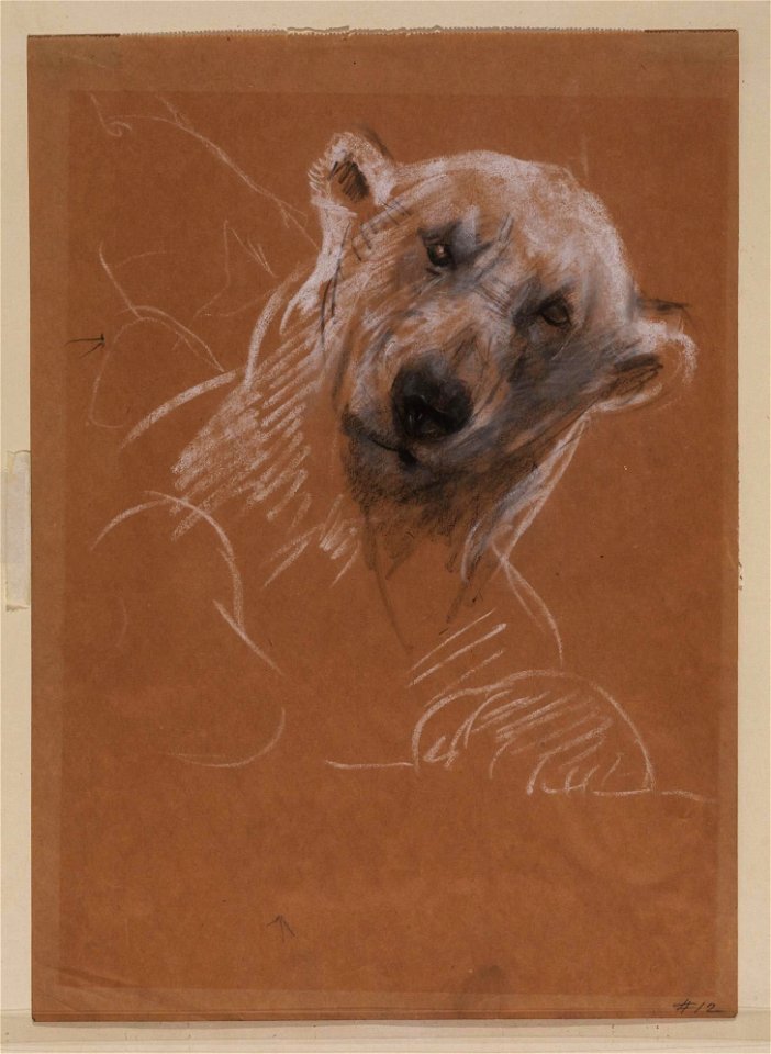 John Macallan Swan - Head of a polar bear
