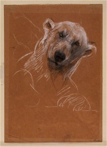 John Macallan Swan - Head of a polar bear