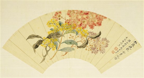 Sweet Osmanthus and Crape Myrtle