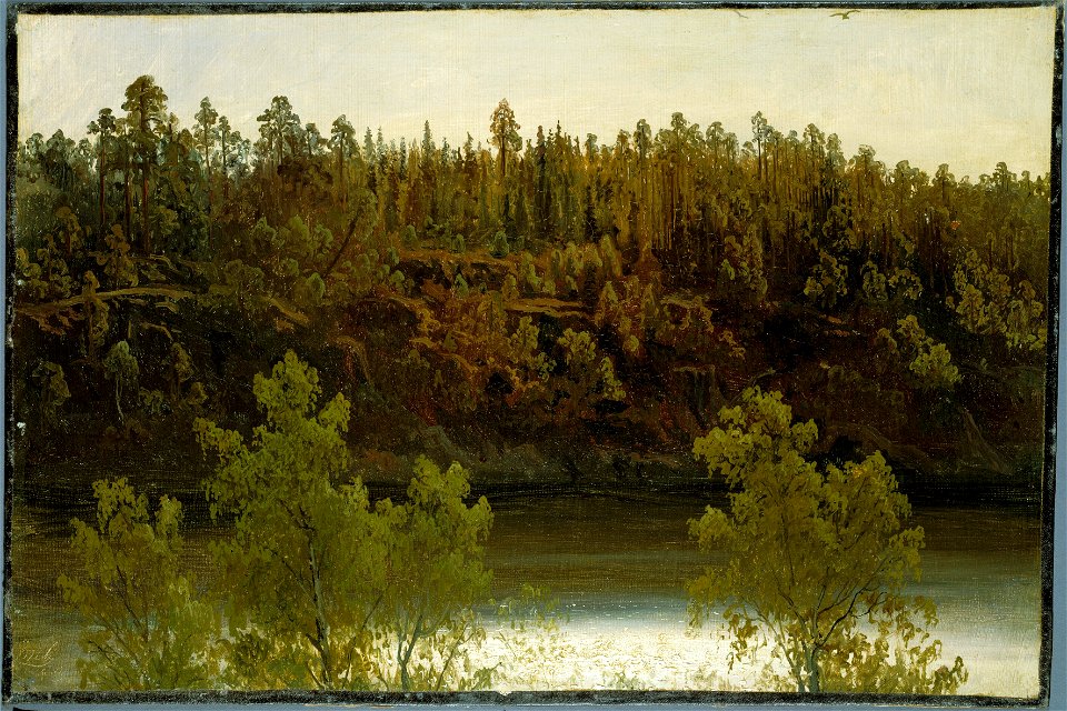 Swedish Lake. Study (Marcus Larson) - Nationalmuseum - 20406