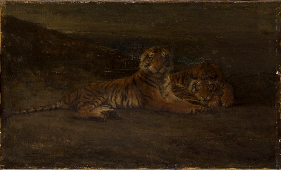 John Macallan Swan - Tigers
