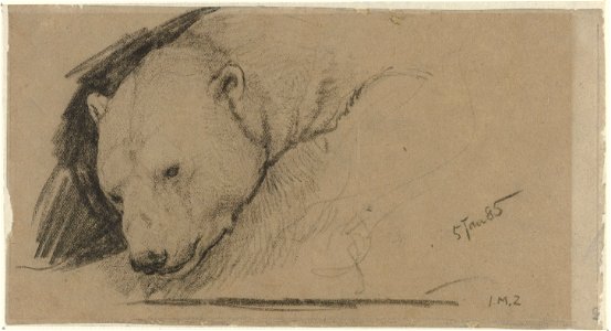 Kop van een ijsbeer Rijksmuseum SK-A-3707
