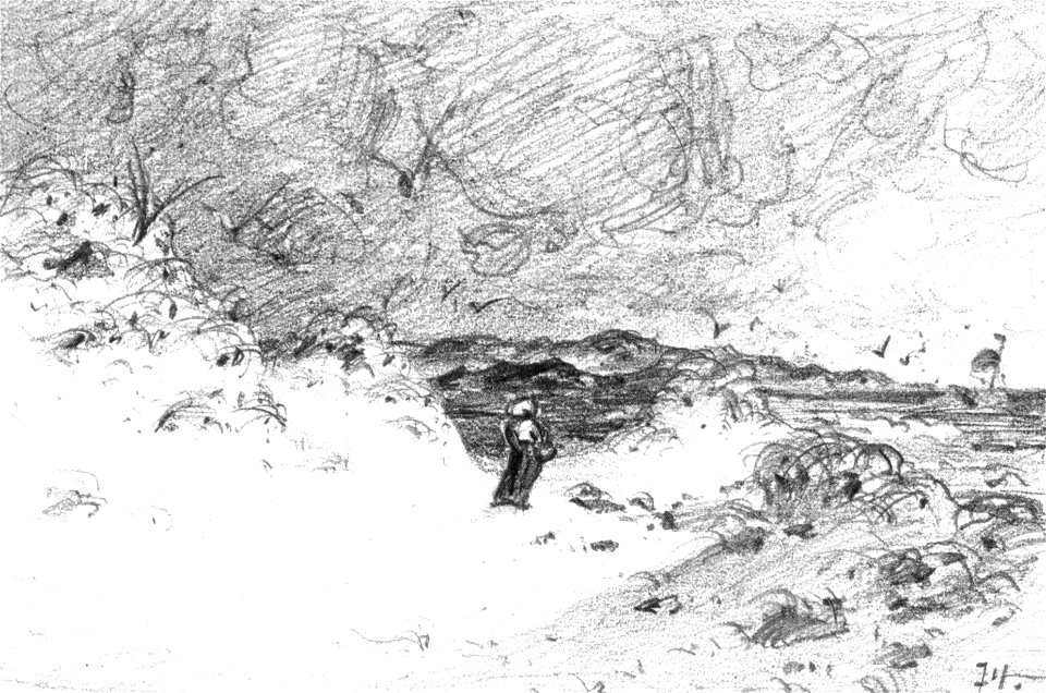Sylt Dünen 01