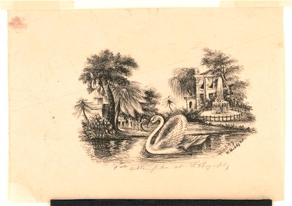 Swan on a pond) - W. Huddy pxt LCCN2017660439