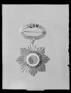 Sydamerikanskt ordenstecken - Livrustkammaren - 27856