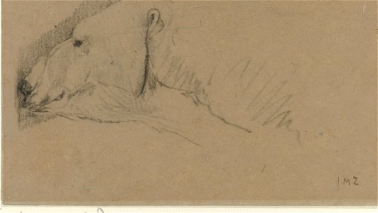 Kop van een ijsbeer Rijksmuseum SK-A-3708