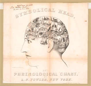 Symbolical head, and phrenolgicical chart LCCN2003690856
