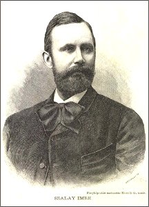 Szalay Imre, Vasárnapi Ujság, 1895