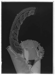 Syrtut till Karl XIV Johans fältmarskalksuniform - Livrustkammaren - 78918-negative