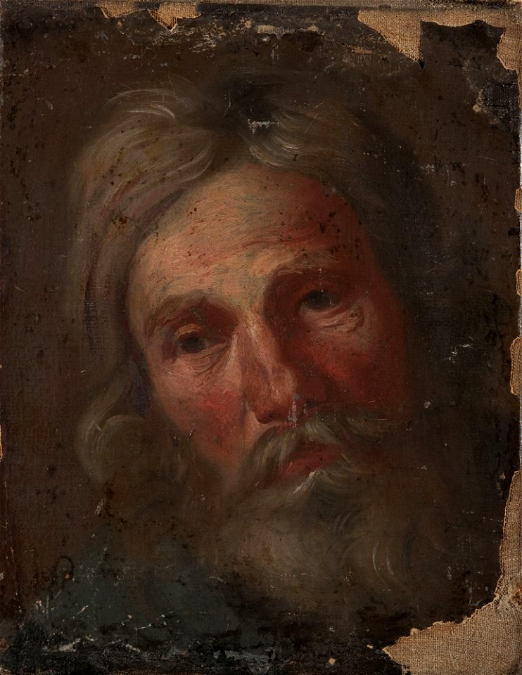 Szymon Czechowicz - Study of an old man's head - MP 3111 MNW - National Museum in Warsaw